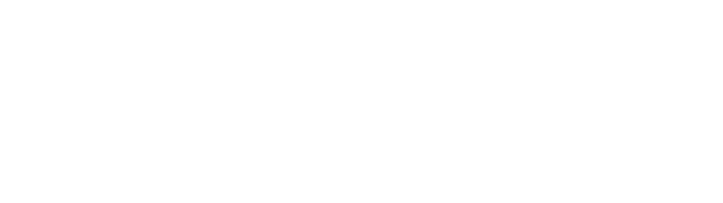 PFD Logo White
